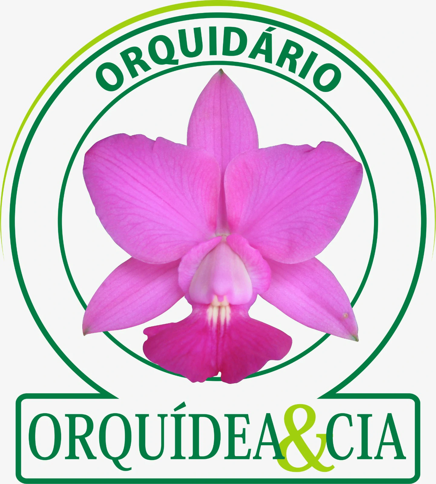 Orquidea e Cia